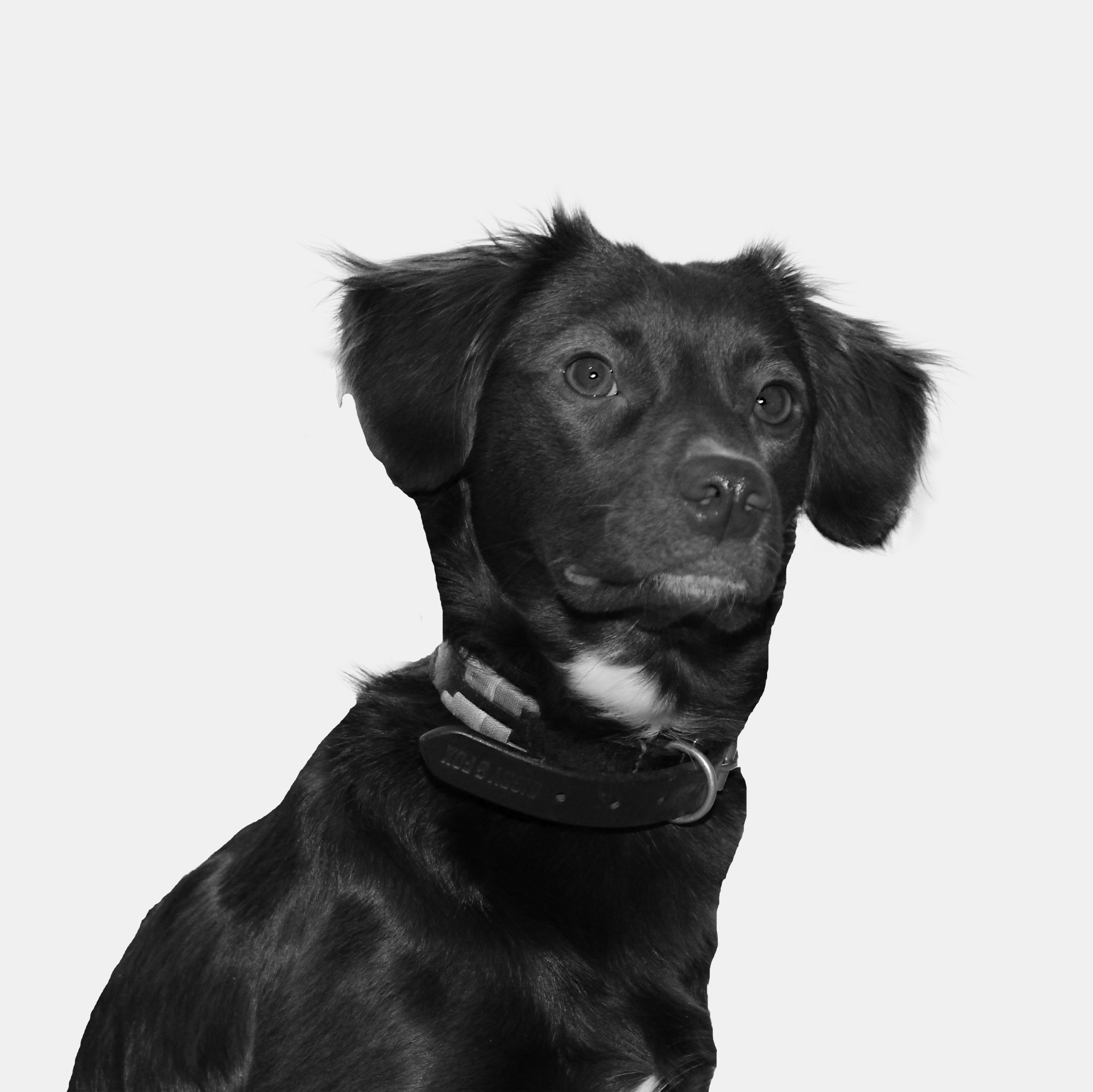 Kali